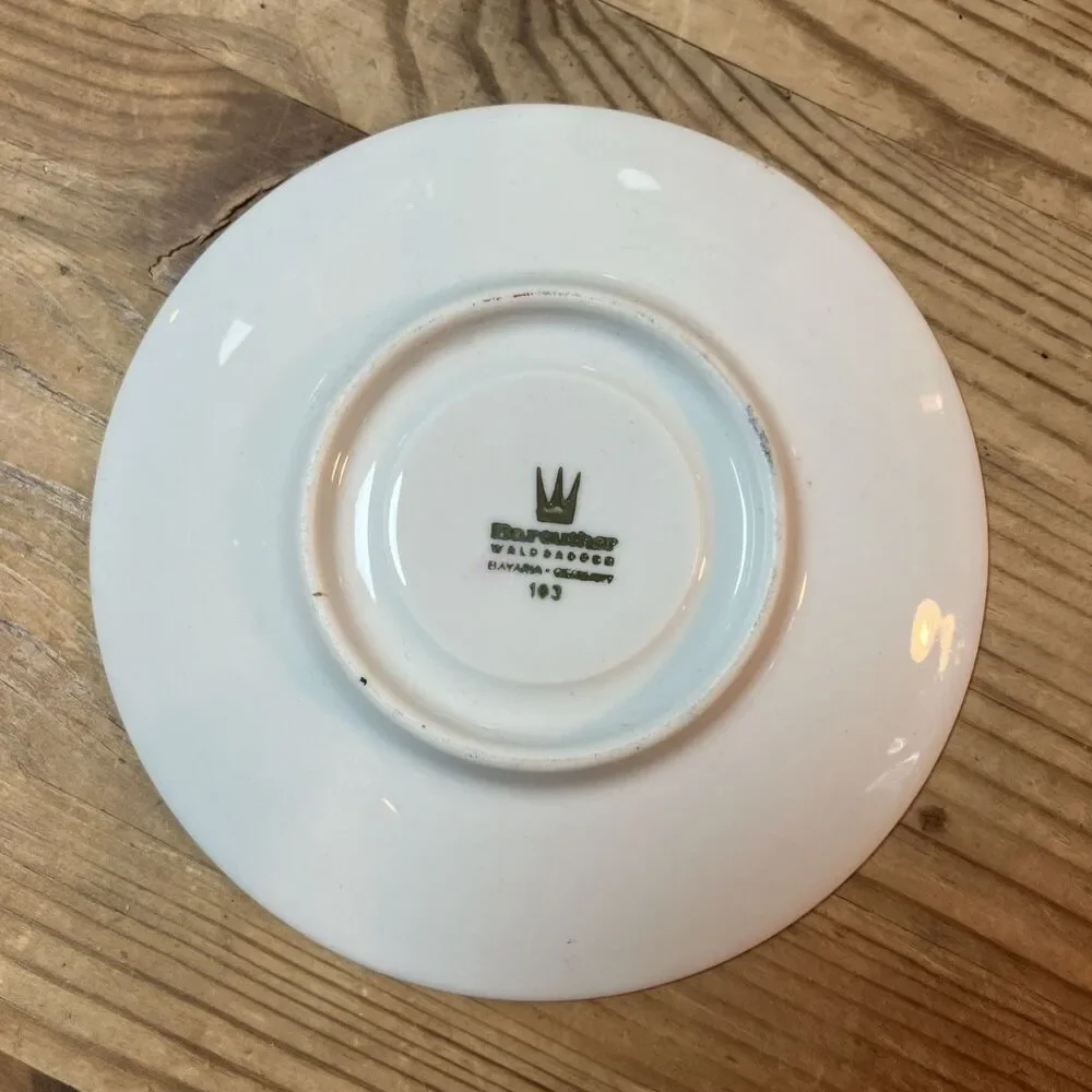 Vintage Bareuther Waldsassen Bavaria Germany Porcelain Tea cup saucer Flower 103